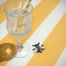 IMG_5426-abeille-web