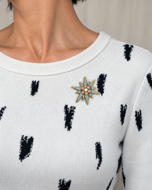 broche-ster-web